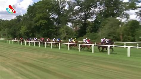 King George V Stakes 2024 .